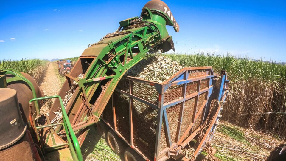 Qual o impacto de eventuais tarifas de Trump ao etanol brasileiro?