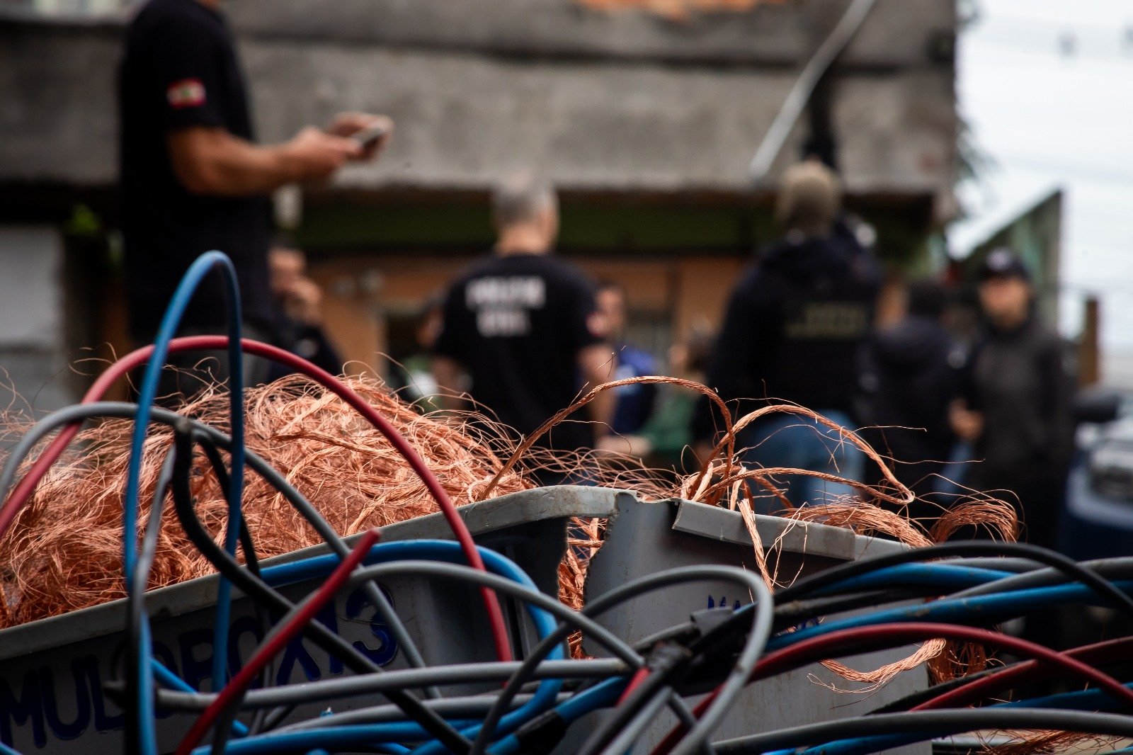 FOTOS: Allan Carvalho/PMF