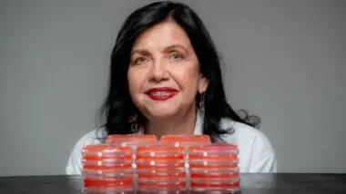 Brasil deve colher a maior safra de grãos da história