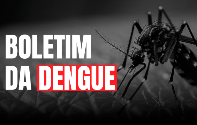 Dengue SC: mesmo com temperaturas mais baixas é necessário manter medidas preventivas