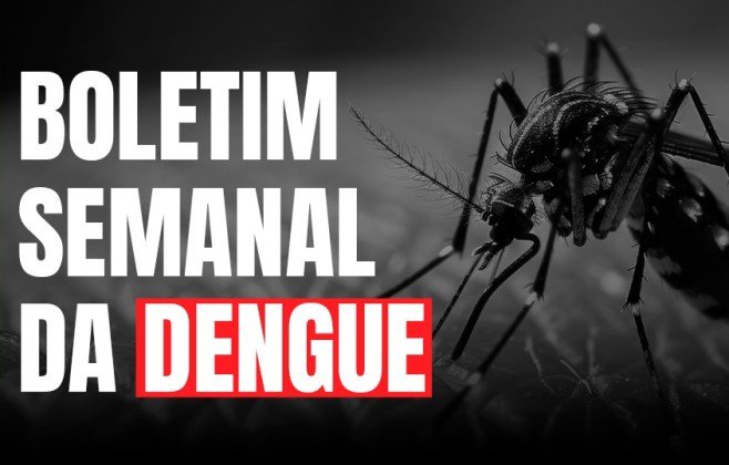 Informe Epidemiológico mostra que casos de dengue e chikungunya vêm aumentando no estado de SC; Desde o ínicio do ano de 2025 foram 8 mortes confirmadas