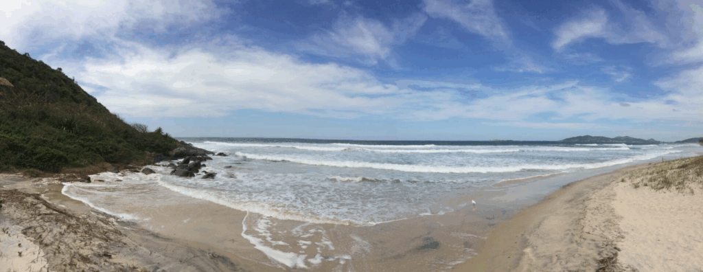 A temporada das baleias na Rota da Baleia Franca: um espetáculo para viver de perto 