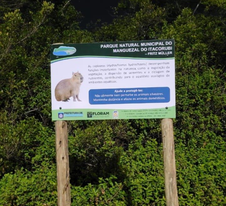 Foto: Divulgação/PMF