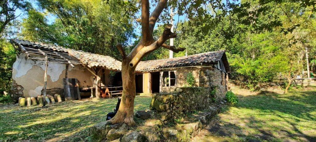 O que fazer em Florianópolis no inverno: roteiro completo para um fim de semana inesquecível 