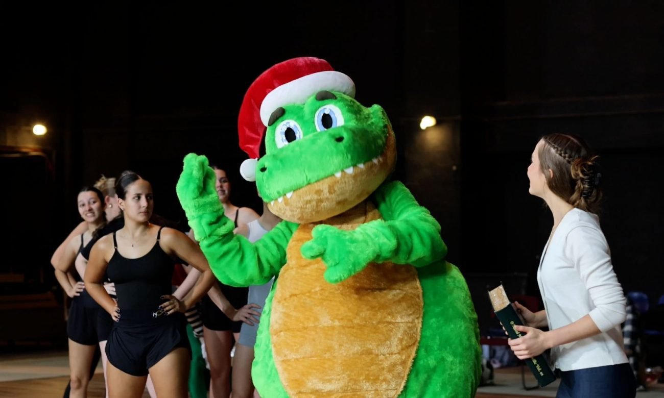 Mais de 200 artistas se reúnem em ensaios da abertura do Natal em Joinville