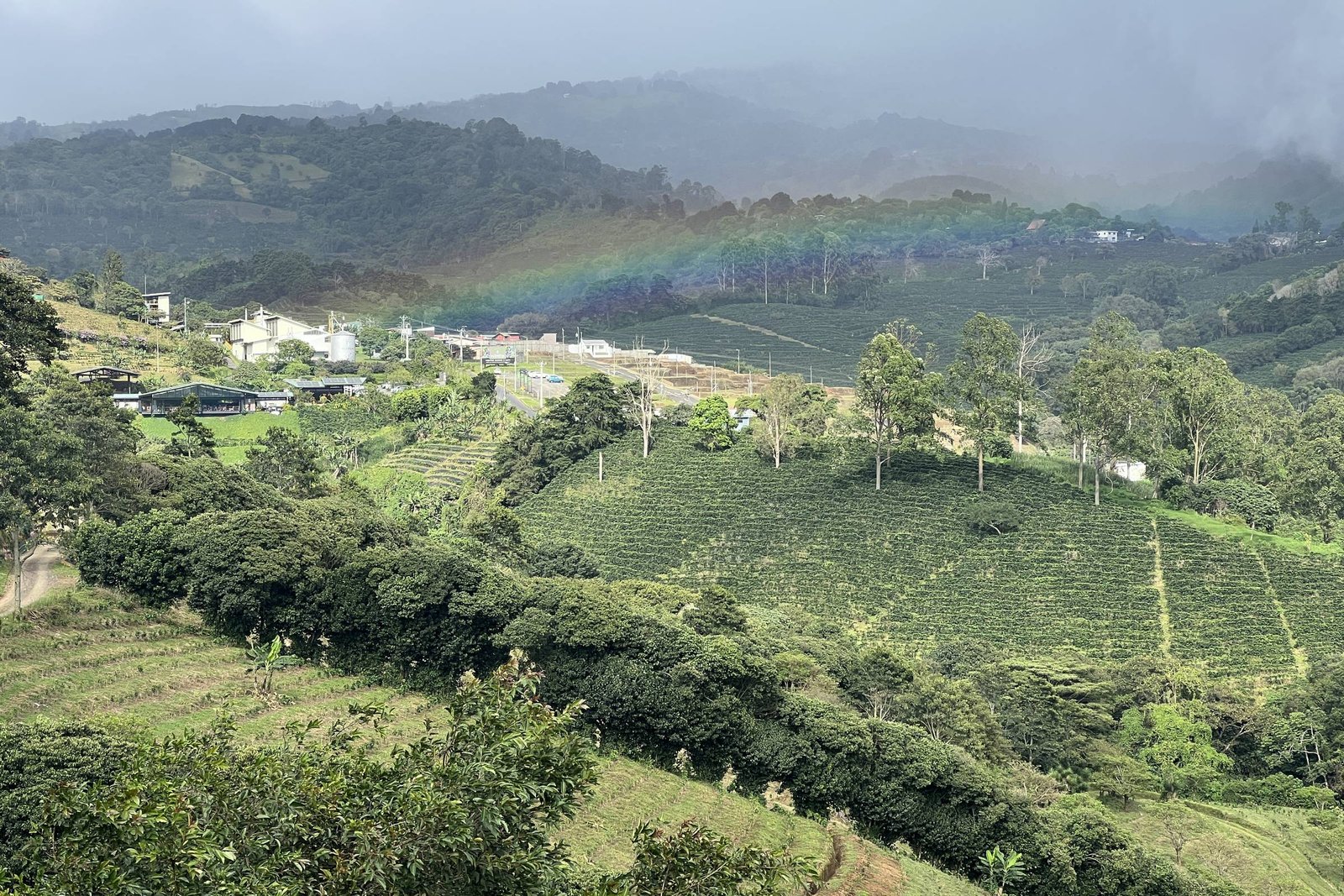 Arco-íris colorido aparece sobre plantações verdes em encostas de montanhas com árvores dispersas. Casas e estruturas estão visíveis ao fundo sob céu nublado.