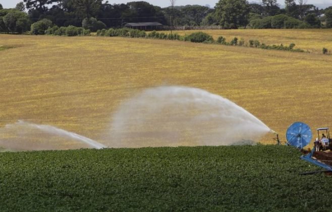 BRDE injeta R$ 133,4 milhões no desenvolvimento e sustentabilidade no campo em 2025