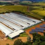 Empresa do grupo JBS investe R$ 140 milhões e beneficia unidade de SC