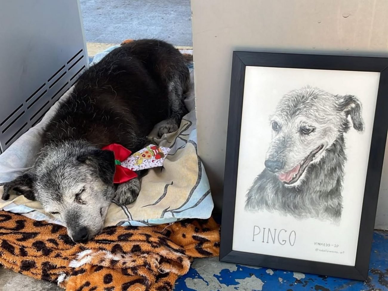 Pingo quando ainda morava em posto de gasolina