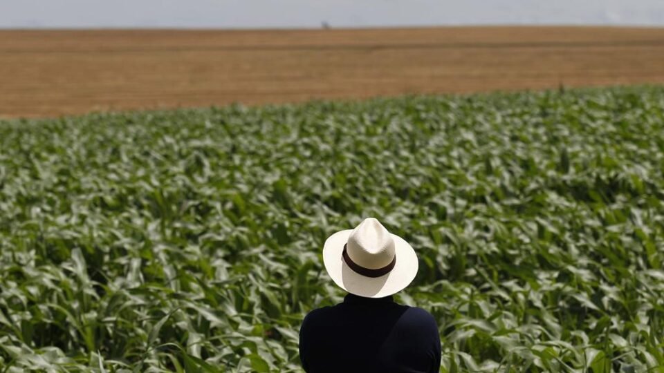 Como o conflito no Oriente Médio afeta o agro brasileiro