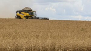 preço e falta de diesel já afetam colheita de arroz e soja