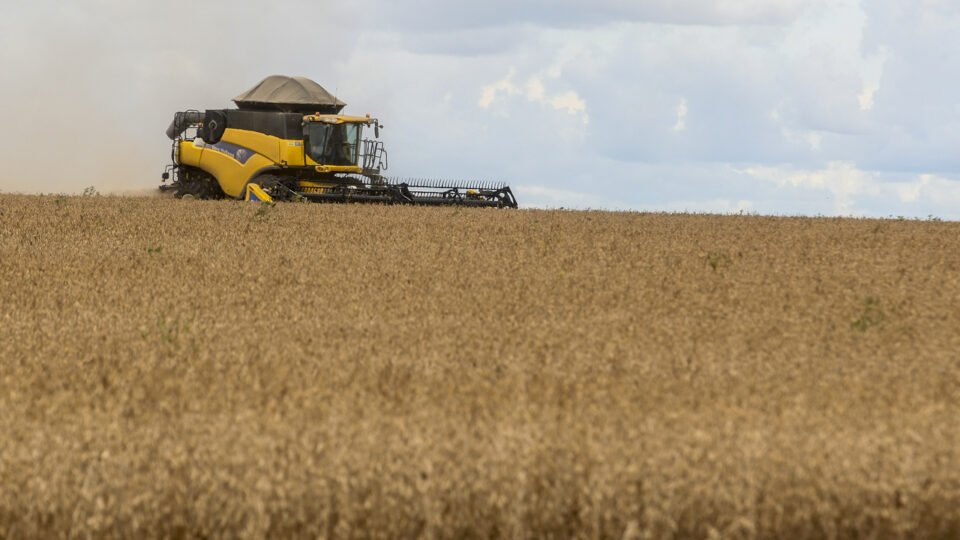 preço e falta de diesel já afetam colheita de arroz e soja