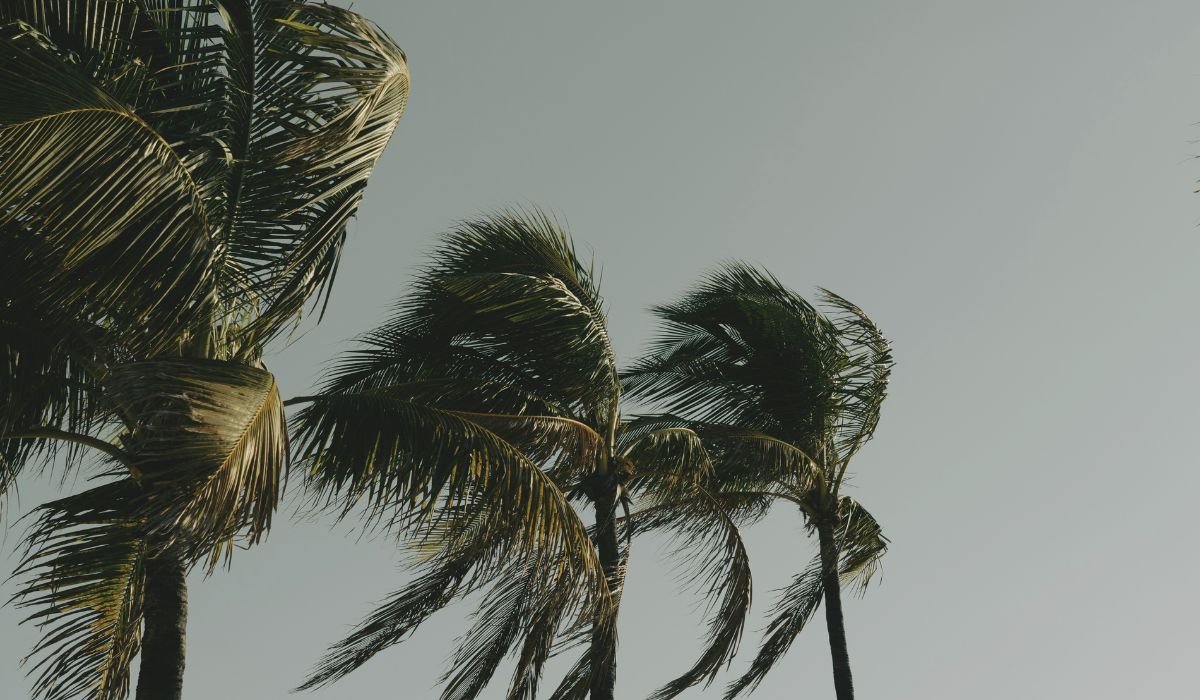 ventos de 100 km/h atingem 12 estados