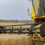 Mesmo com avanço tecnológico, setor aponta limites para compensar impactos do fim da escala 6x1 no campo.