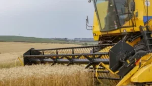 Mesmo com avanço tecnológico, setor aponta limites para compensar impactos do fim da escala 6x1 no campo.