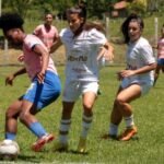 Alesc recebe pacote de projetos que ampliam regras para segurança, criam políticas de saúde e fortalecem direitos sociais e proteção animal em SC