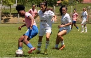 Alesc recebe pacote de projetos que ampliam regras para segurança, criam políticas de saúde e fortalecem direitos sociais e proteção animal em SC