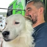 No mês de combate à crueldade contra os animais, Governo de SC destaca ações para enfrentamento do problema