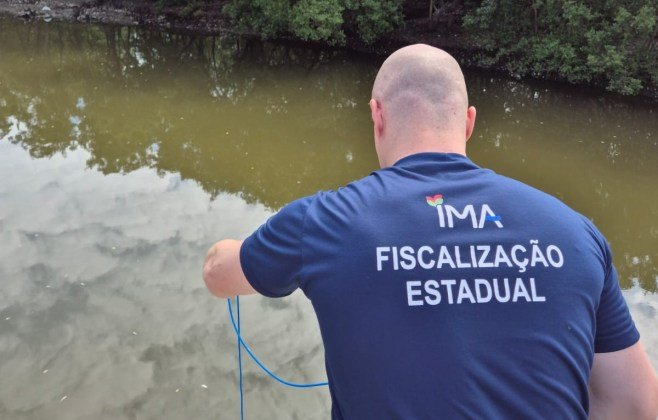 Nota técnica do IMA aborda mortandade de manjubinhas no manguezal do Itacorubi