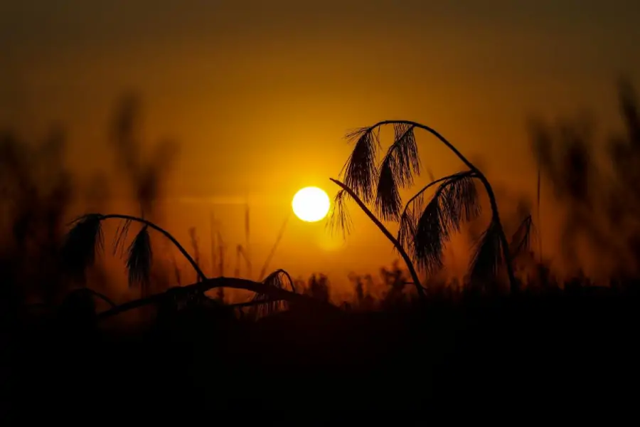Santa Catarina tem semana de sol antes da chegada de frente fria e virada no tempo • Sul de Floripa