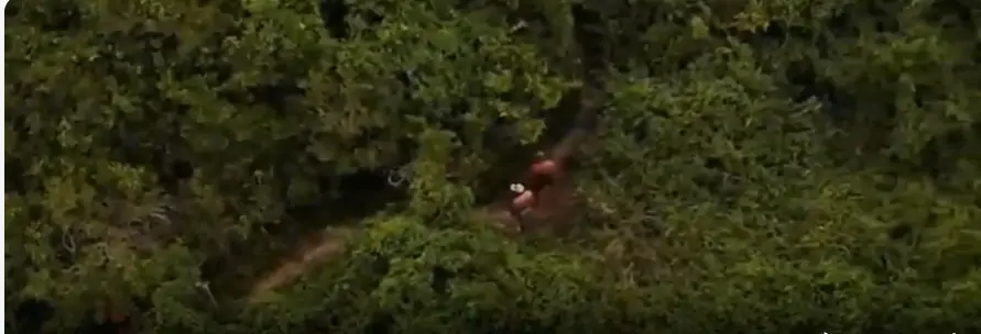 Sem resposta do Poder Público Municipal, vídeos sobre atos obscenos ampliam pressão por providências em Florianópolis • Sul de Floripa