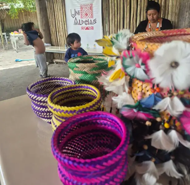 Udesc desenvolve atividades de extensão universitária em aldeias indígenas • Sul de Floripa