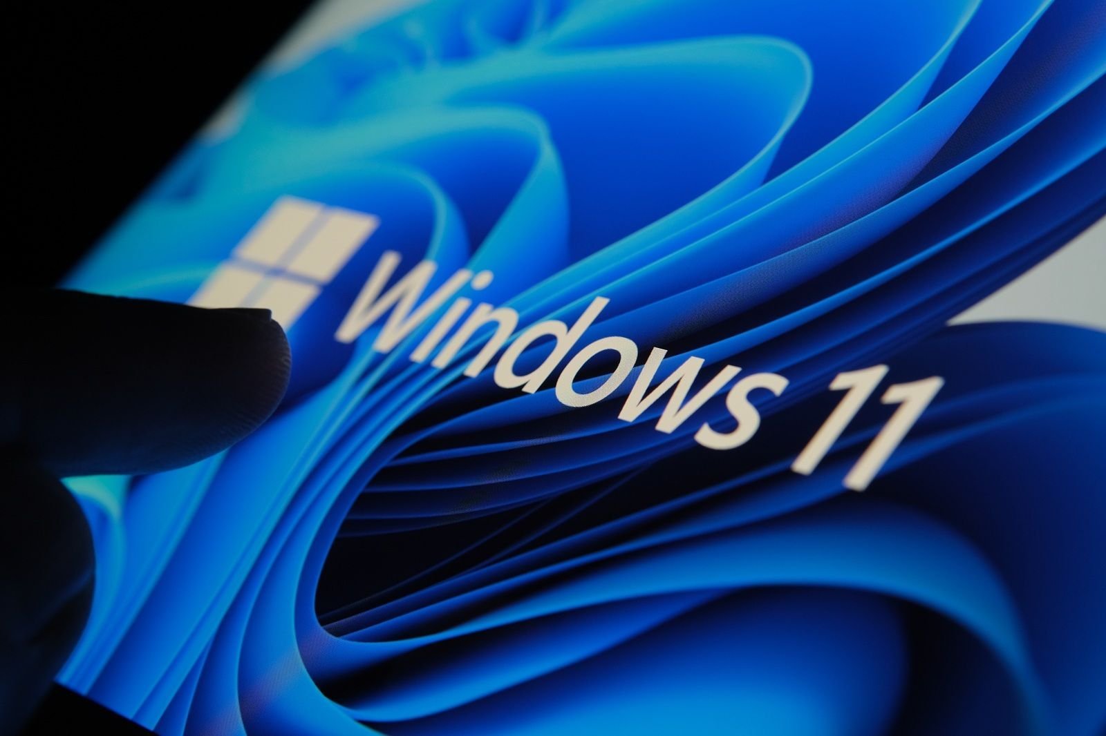 Microsoft Windows 11.jpg