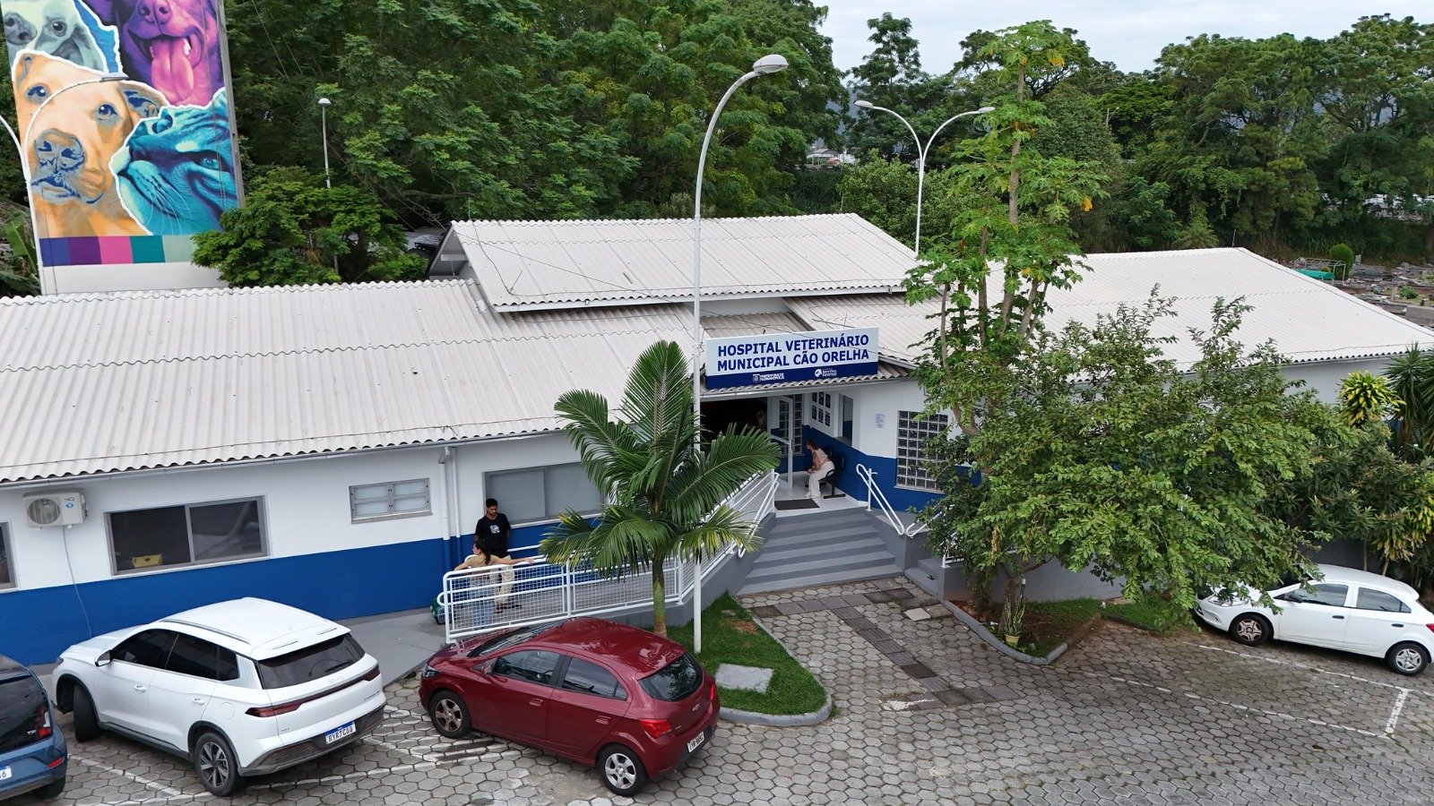 Hospital Veterinário de Florianópolis registra mais de 3.400 procedimentos no primeiro mês de operação