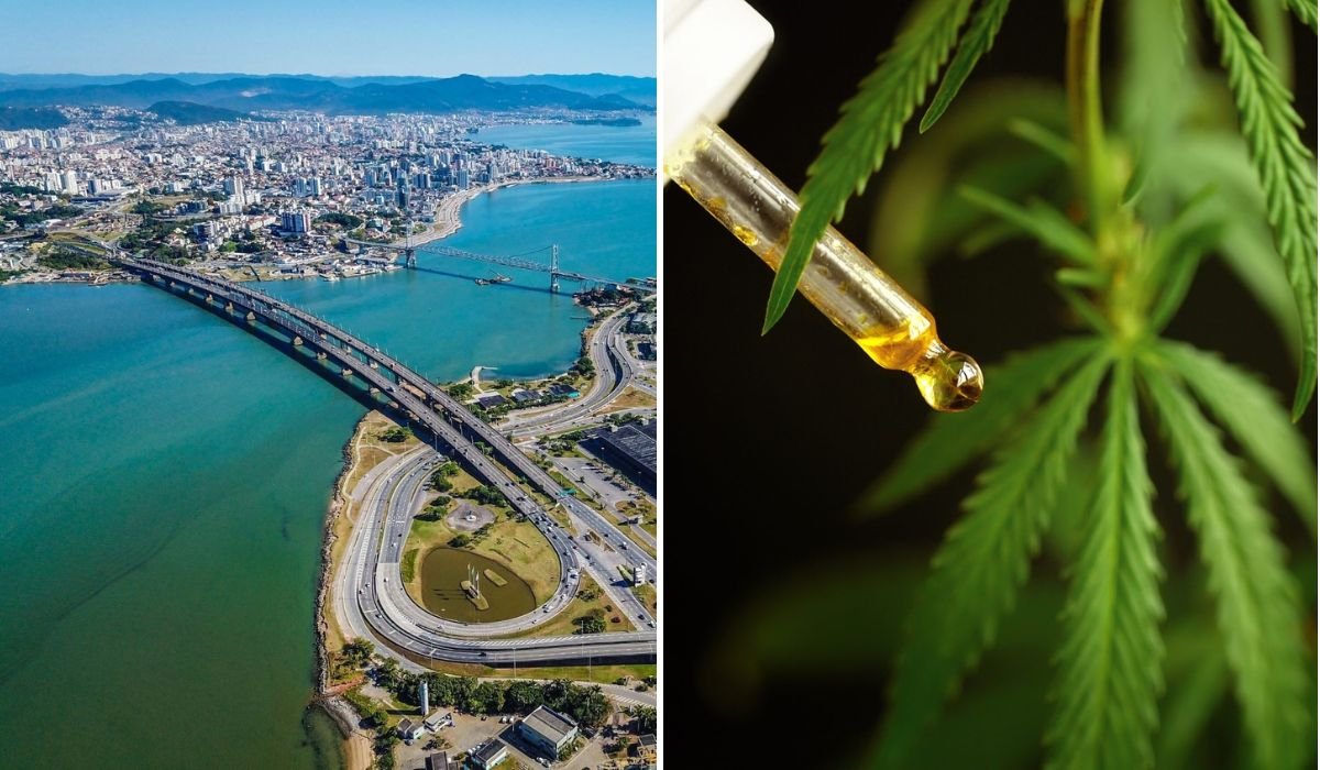 Ordens judiciais fazem estado investir valor na compra de medicamentos à base de cannabis