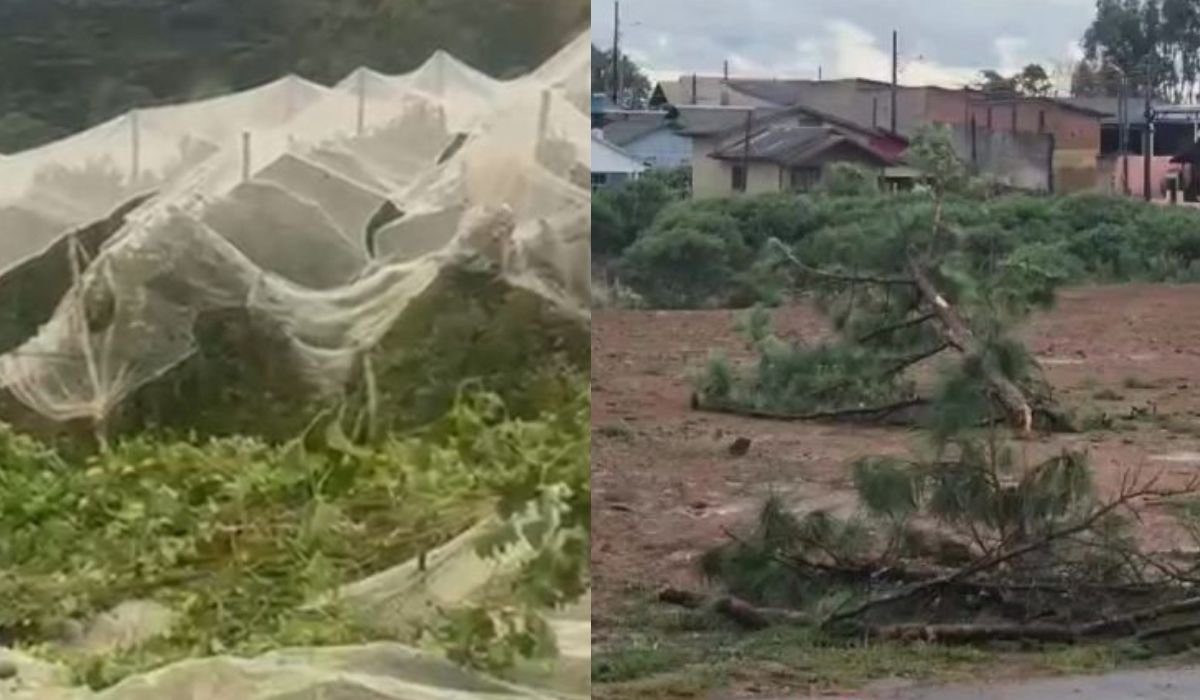 Ventania em SC tem influência do El Niño, diz meteorologista