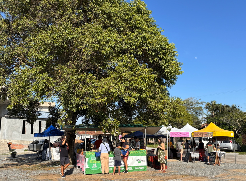 Viva Feira Campeche realiza a primeira edição da “Viva Feira Festiva” nesta quarta-feira, 20/5 1