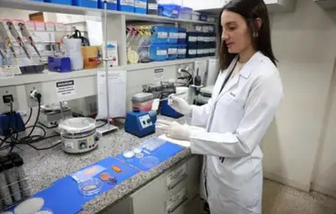 Carne de laboratório: conheça a técnica desenvolvida pela Embrapa