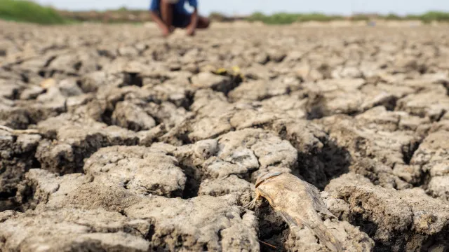 Seguradoras se preparam para pico de indenizações com El Niño