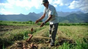 "Super El Niño" deve deixar marcas no campo e na cidade