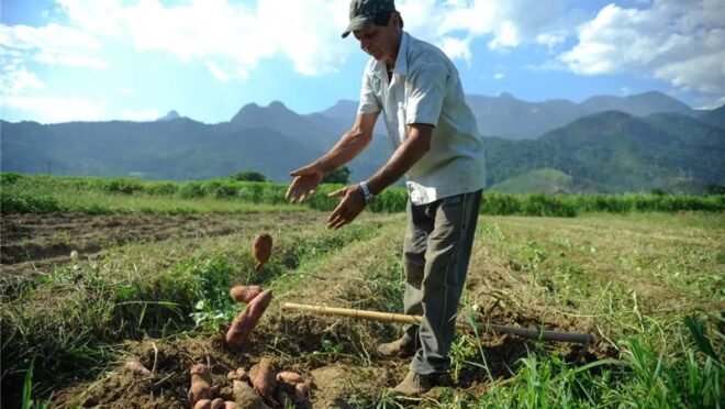 “Super El Niño” deve deixar marcas no campo e na cidade