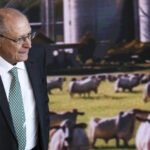 Plano Safra 2026/2027 tem corte de recursos para custeio