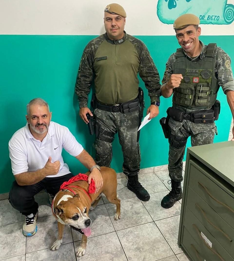 Quando a crueldade custa pouco: especialistas defendem penas mais rigorosas para combater maus-tratos contra animais no Brasil