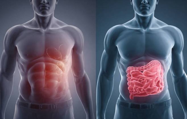 Falta de vitamina D pode aumentar risco de morte após os 50 anos. Veja como é a combinação de gordura