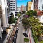 Plano de Arborização de Florianópolis chega aos bairros em cinco oficinas a partir desta quinta-feira, 13