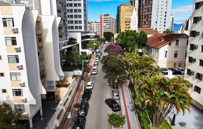 Plano de Arborização de Florianópolis chega aos bairros em cinco oficinas a partir desta quinta-feira, 13