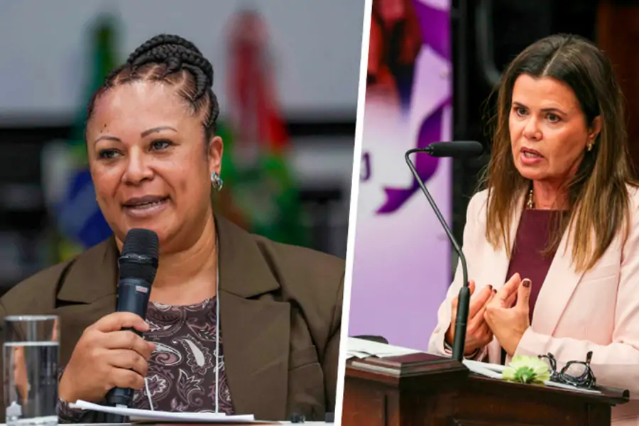 Seminário em Florianópolis debate avanços e desafios nos 20 anos da Lei Maria da Penha • Sul de Floripa