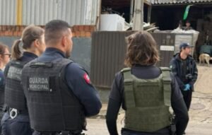 Força-tarefa da Operação Alta Tensão amplia combate a furtos em São José