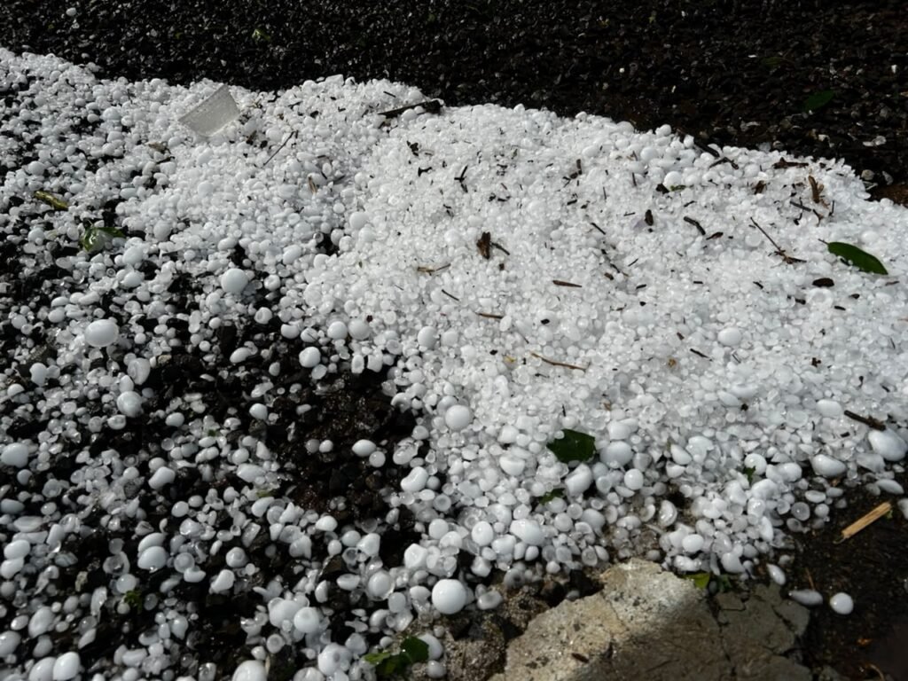 Temporais levam seis municípios a decretar situação de emergência e 17 registram danos em Santa Catarina