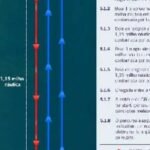 Baía Sul de São José recebe 1ª Regata Plínio Verani com prova visível a partir da orla neste sábado, 31