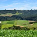 Chamada Pública: Agricultores e pescadores podem apresentar projetos para receber apoio do Programa SC Rural 2