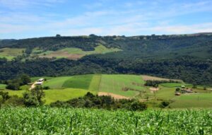 Chamada Pública: Agricultores e pescadores podem apresentar projetos para receber apoio do Programa SC Rural 2