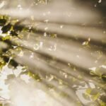 Dispositivo transforma luz solar em combustível sem necessidade de bateria