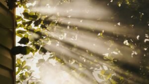 Dispositivo transforma luz solar em combustível sem necessidade de bateria