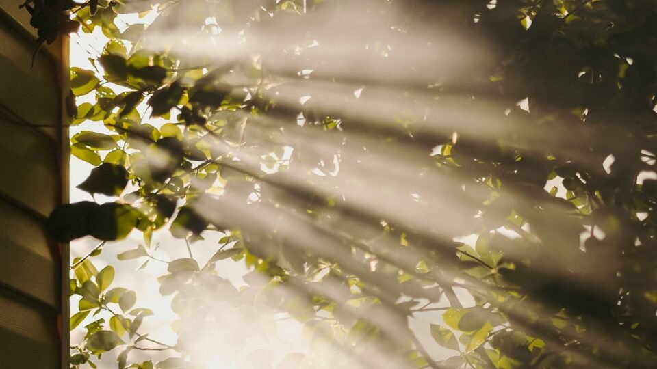 Dispositivo transforma luz solar em combustível sem necessidade de bateria