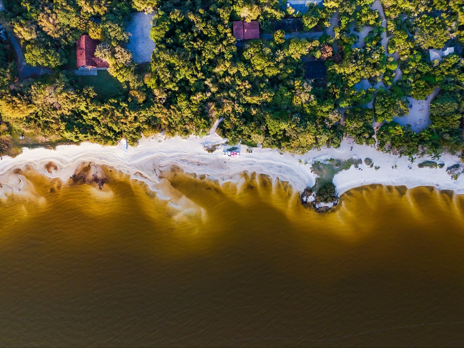 Florianópolis dá salto na Bandeira Azul com conquista da certificação por mais três praias
